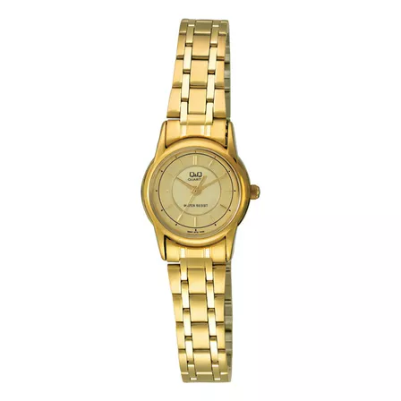 Reloj Mujer Q&q Q621-010y