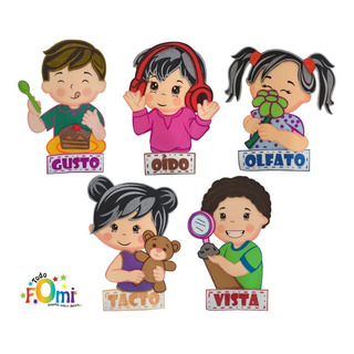 Todofomi. Set De 5 Piezas. Los 5 Sentidos Todofomi. Set De 5 Piezas. Los 5 Sentidos
