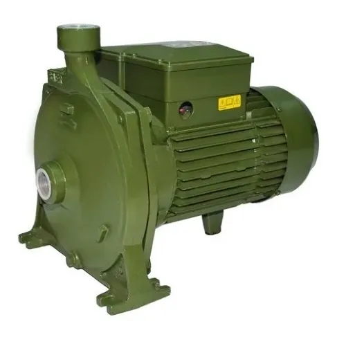 Bomba Centrifuga Saer 1hp 110v