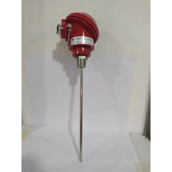 Termocupla Pt100 Con Cabezóte Largo 20cm Diámetro 1/4 Pixsys