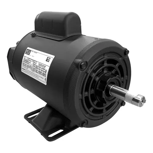 Motor Weg Motores 14529087 Monofásico 1cv 4 Polos Baixa Rotação 110/220v