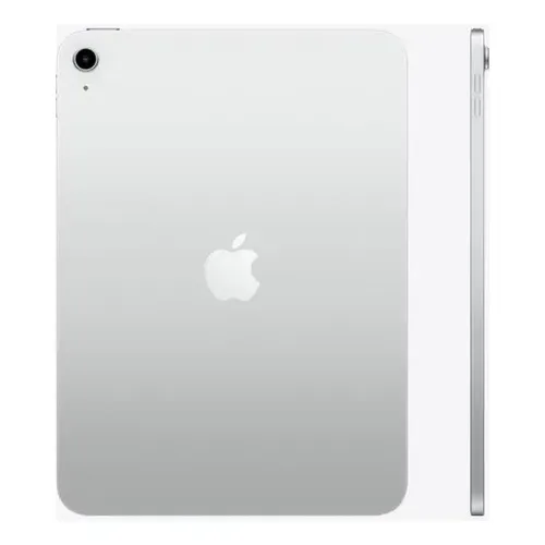 Apple iPad 9th Gen 2021 A2602 256gb 10.2 Silver, Wi-fi | MercadoLivre