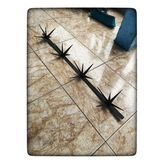 Púas Para Seguridad Perimetral 