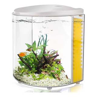 Fish Pesh Skist 12 Gallon Betta Fish Fish Con Filtro Y Luz Fish Pesh Skist 12 Gallon Betta Fish Fish Con Filtro Y Luz