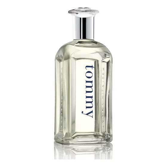 Tommy Hilfiger Men Edt 100ml