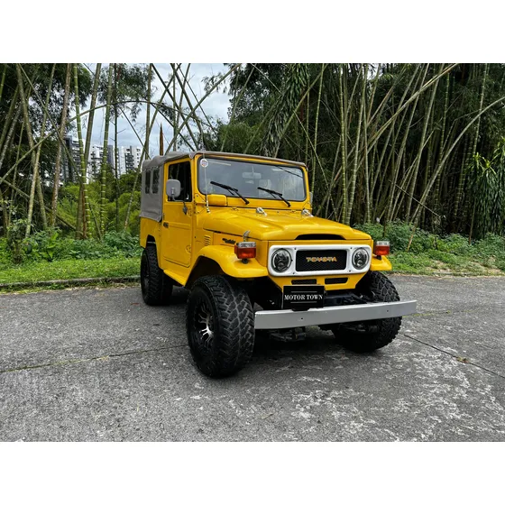 Toyota Fj 43 1982