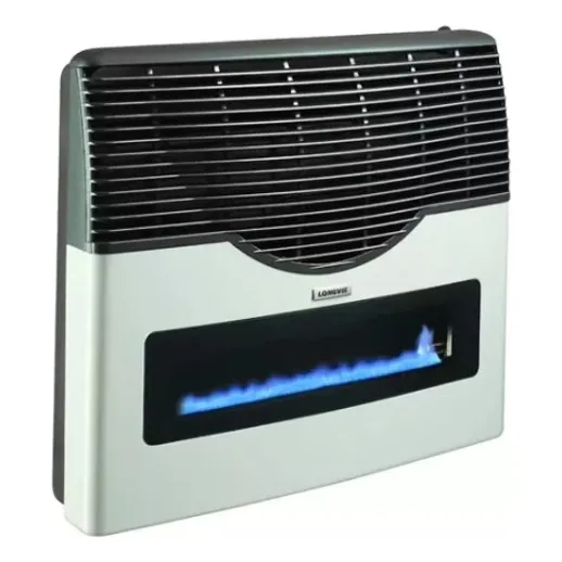 Calentador / Calefactor De Gas Ambiental Para Casa Y Oficina