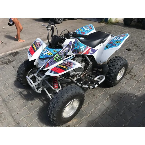 Cuatriciclo Honda Trx 250