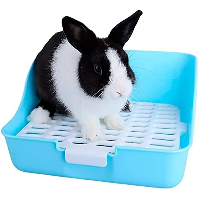 Sanitario Baño Rectangular Grande Para Conejo Adulto