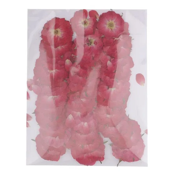 Jili Linea 50pcs Rosa Roja Flor Cortarla Real Para Hacer