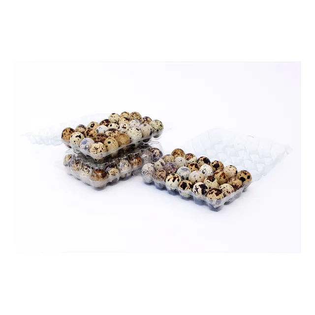 Huevos De Codorniz Docena X Mayor. Somos Productores