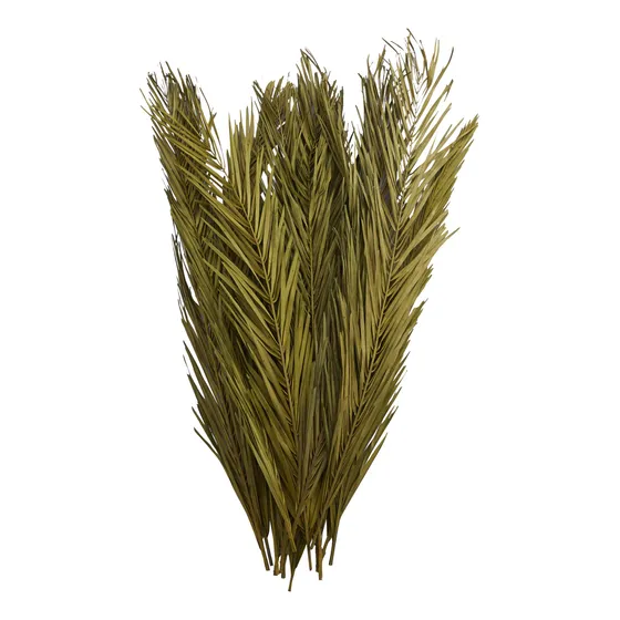 Deco 79 Follaje Natural Hoja Palma Seca Tallo Inspirado 4 X