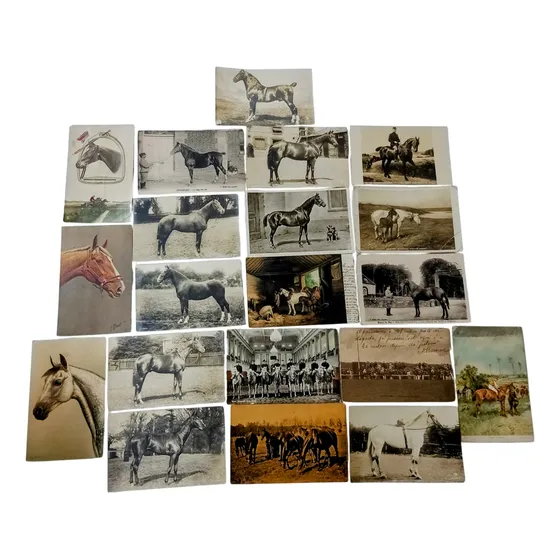 20 Cartões Postais De 1908 À Década De 30 Com Tema Cavalos