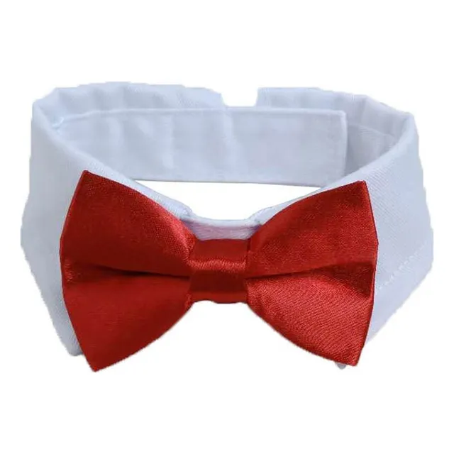 Corbata Pajarita Ajustable Mascotas Perro Gato Collar Cuello