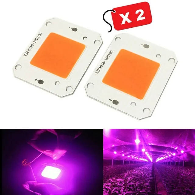 Cultivo Indoor Plantado Terrario Chip Led 50w 12v Dc / 2 Und