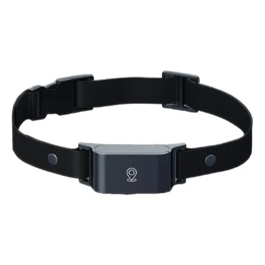 Collar Gps 4g Mascotas Rastreador Satelital Perros Gatos