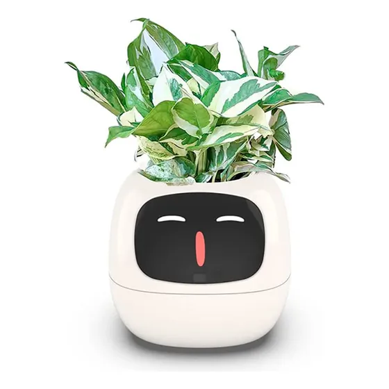 Maceta Inteligente Autorriego Ivy Emociones Digitales