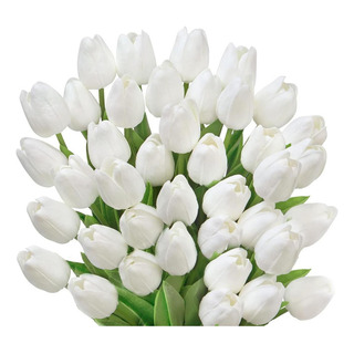 Mistari 40 Flores Artificiales De Plástico Tulipán Con Tallo Mistari 40 Flores Artificiales De Plástico Tulipán Con Tallo