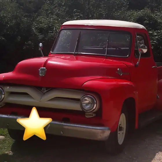Ford F100 1955