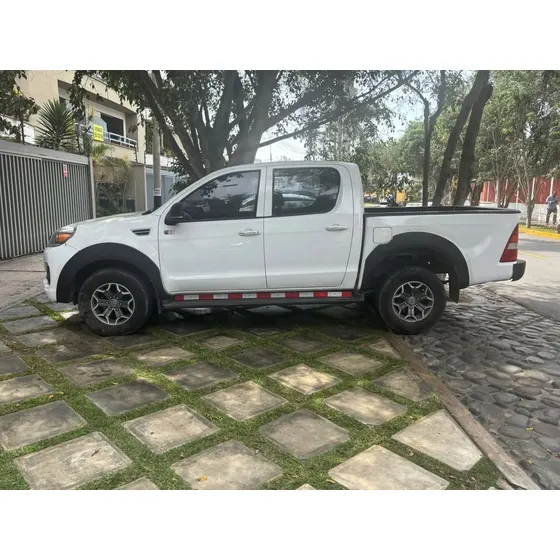 Foton Tunland Mining 2021