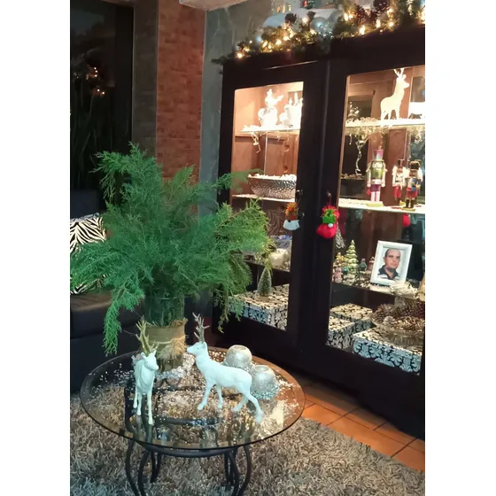 Vitrina De Madera, Patinado En Chocolate Oscuro