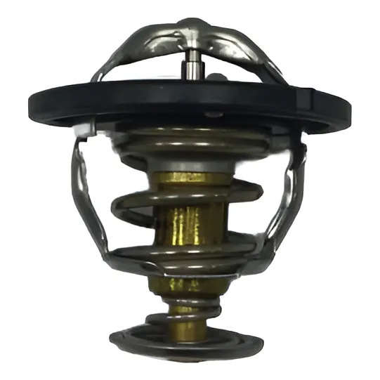 Termostato Jac 1037 T6 4x2 Gasolina