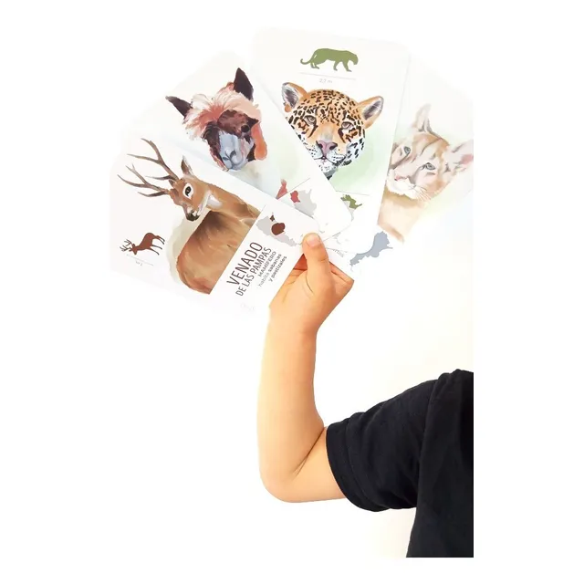 Flashcards Animales De Argentina Cartas De Aprendizaje 