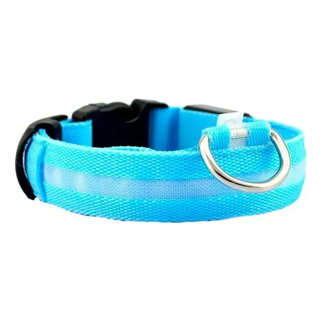 Collar Led Para Mascota