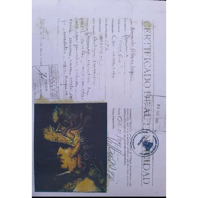 Litografia Armando Villegas 060 ×050  Guerrero Masculino