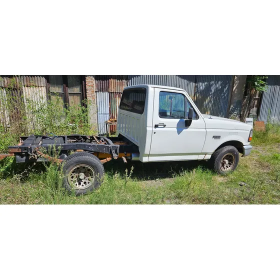 Ford F-100 4.9i