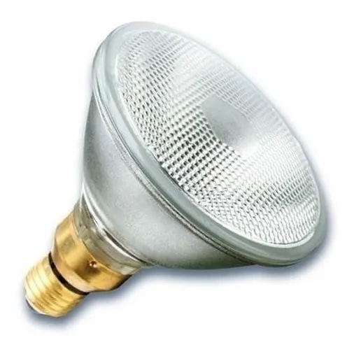 Lampara Par 38 Halogena 80-w Clara E27 Jardin Exterior X1