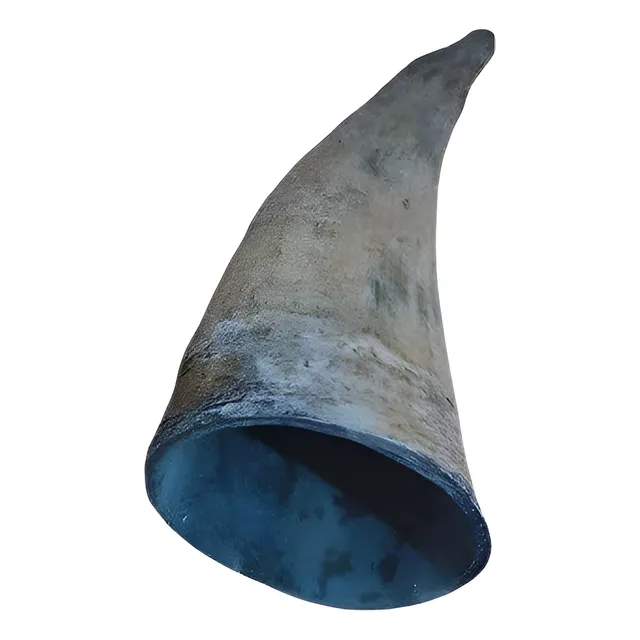 Chifre De Boi Bruto Natural Artesanato Umbanda Candomble