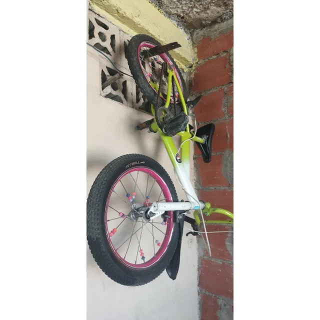 Bicicleta Rin 16 Casi Nueva Todo Nuevo 