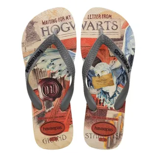 Chinelo Havaianas Top Warner Classic Desenhos Original Nf Chinelo Havaianas Top Warner Classic Desenhos Original Nf
