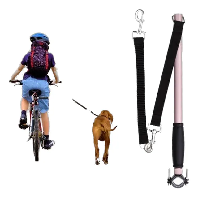 Perro De Animal Doméstico Bicicleta Bicicleta Correa Manos C