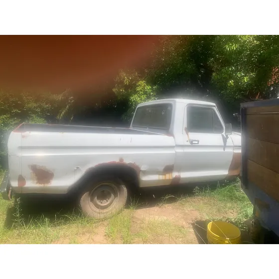 Ford F-100 3.6 Std