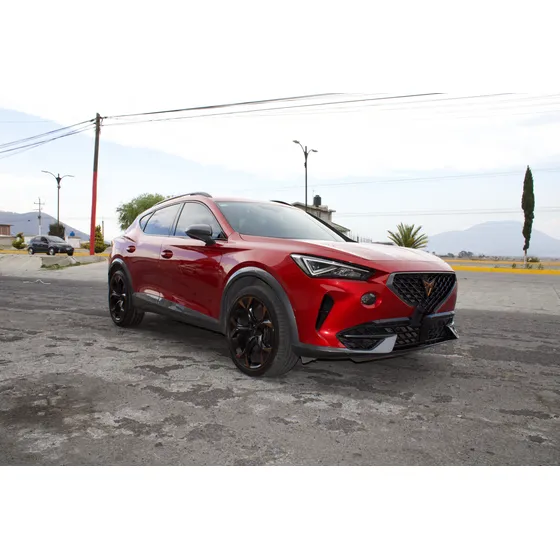 Cupra Formentor 2.0 Vz 310hp 4wd Dsg7