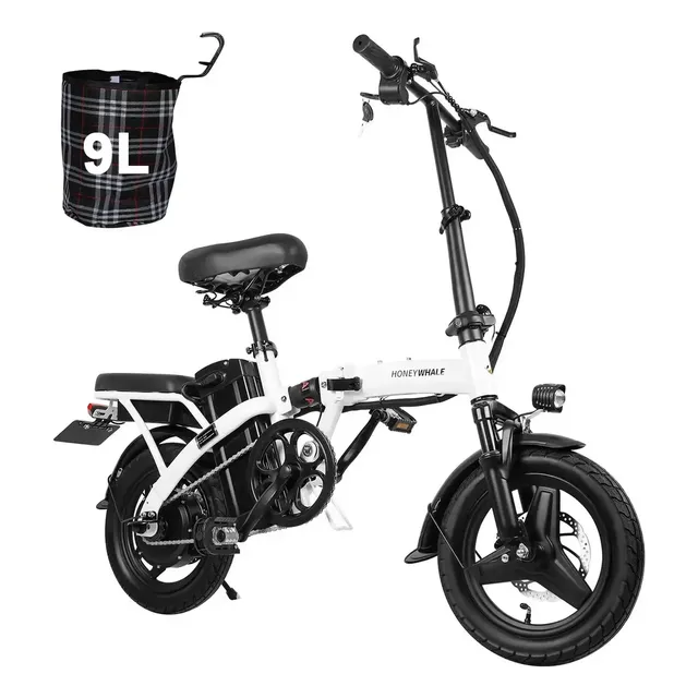 Honeywhale S6-S 750W (125kg)