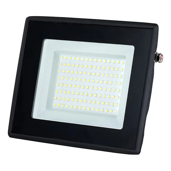 Foco Proyector De Área Led 100w Want Exterior Ip65 Sec Color De La Carcasa Negra Color De La Luz Luz Fria 6000k