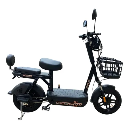 Bicicleta Scooter Elétrica 500w Gts Super Power Preta S/ Cnh Preto Único