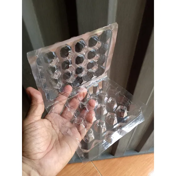 Estuches Para 20 Huevos De Codorniz (1000 Unid Mínimo)
