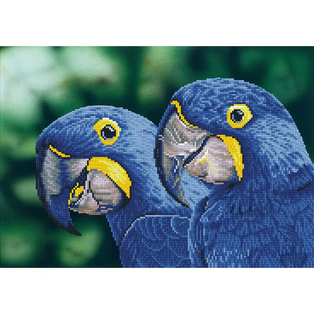 Dotz Kit Intermt Guacamayo Jacinto Azul