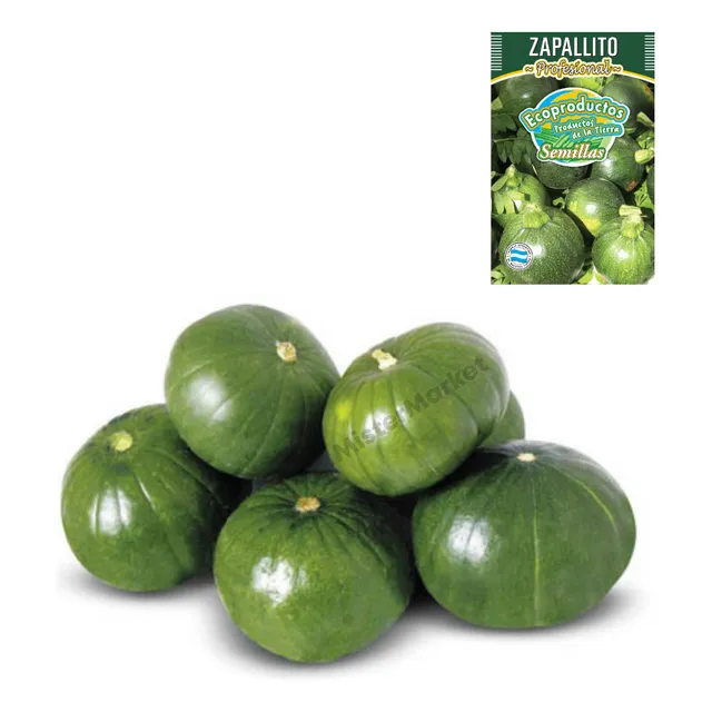 Semillas Zapallito Redondo Huerta Hortalizas Ecoproductos