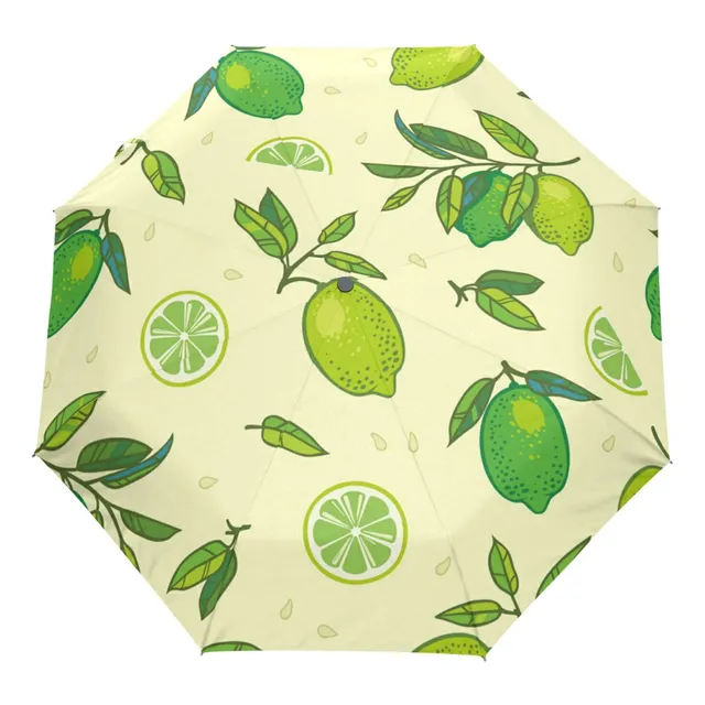 Kaaviyo Fruta Limon Naranja Hoja Paragua Prueba Viento Para