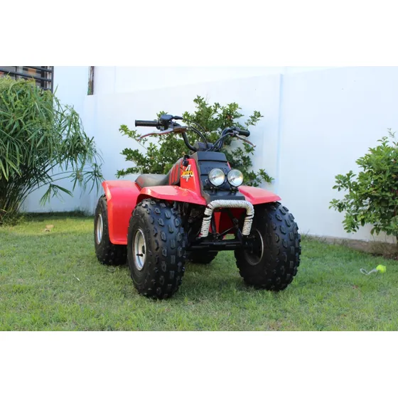 Yamaha Yfm 80 Badger
