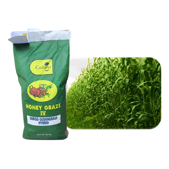 Semilla De Sorgo Forrajero Dulce Saco 20kg Importado