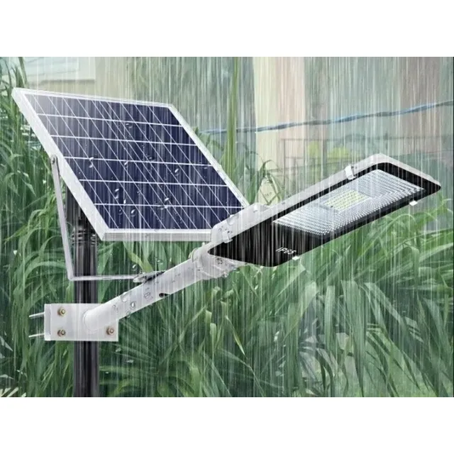 Luminarias Led De 100w. Con Panel Solar Y Control Remoto.