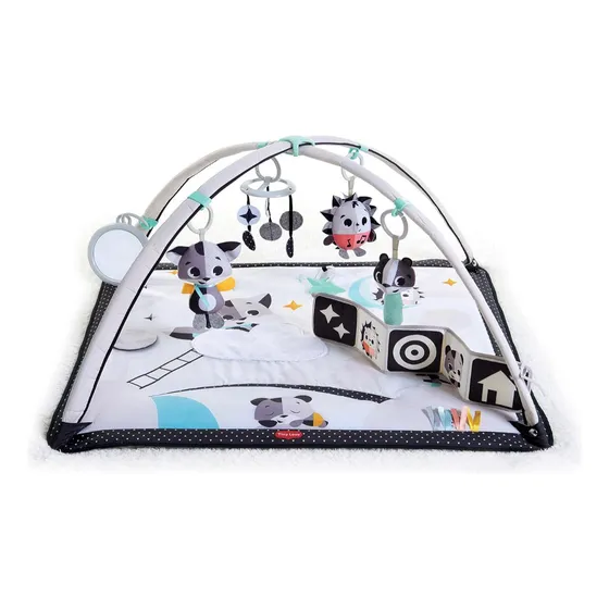 Gimnasio Para Bebés Baby Gym Importado Marca Tiny Love