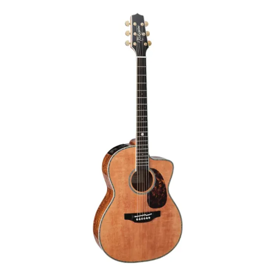 Violão Takamine Ltd2022 & Ctf2n 60th Made In Japan Bag