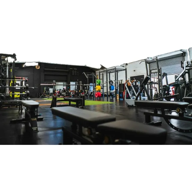Sistema Gimnasios Socios Clases Control Ficha Horarios Stock